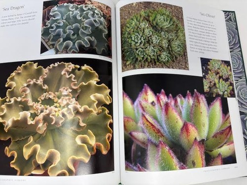 ECHEVERIA CULTIVARS BY LORRAINE SCHULTZ (2005, HC/DJ) - LIKE NEW-SHIPS FREE - Picture 10 of 13