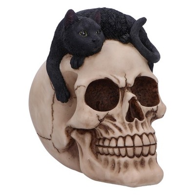 Nemesis Now Forever Friend Cat on Skull 14.5cm, Resin, Black/Bone, Cat Laying on