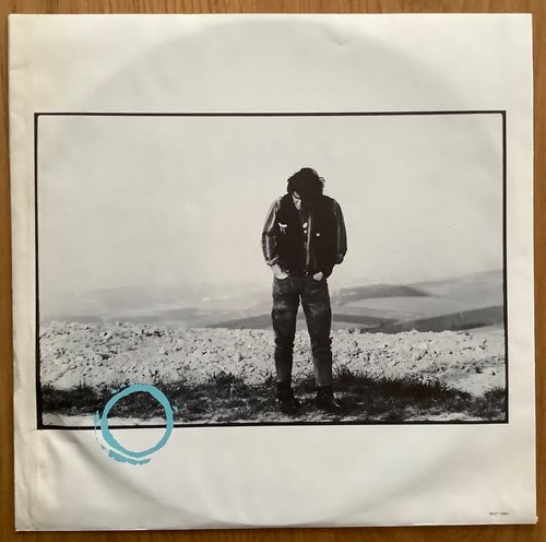 Ligabue LP Vinile 1990 WEA ancora nel cellophane - Foto 4 di 6