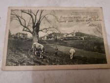 Postcard.  Cow. Vintage. c1910's 