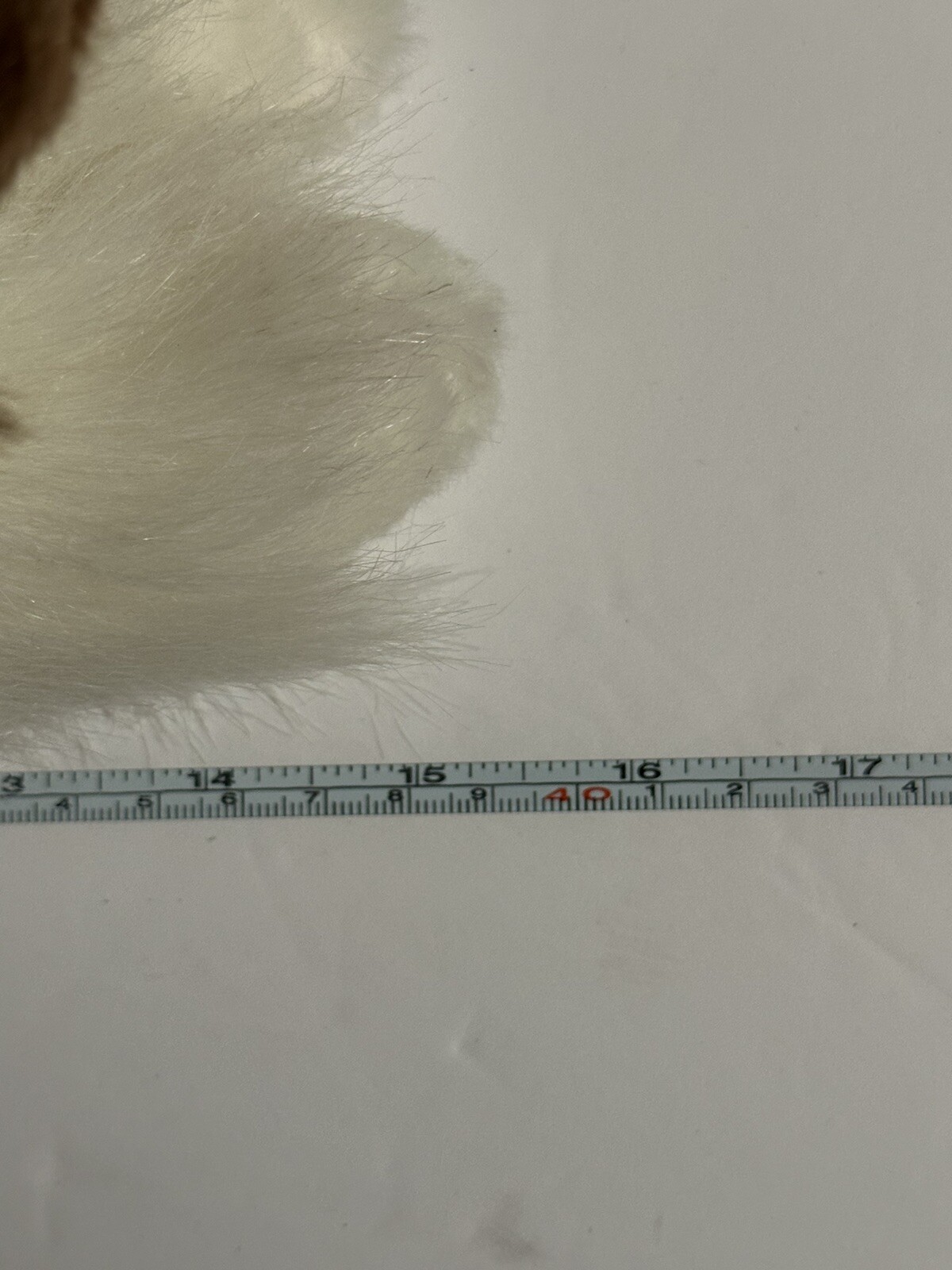 Bild 11 von 11