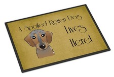 Caroline's Treasures Wirehaired Dachshund Spoiled Dog Lives Here Door Mat 24x36