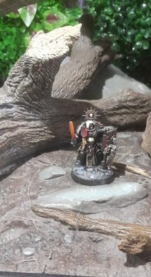 Warhammer 40k Black Templar Blade Guard Captain Sehr Gut Bemalt