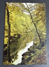 Postcard: Bolton Woods by River Wharfe J. Arthur Dixon ~ Wharfedale Yorkshire UK