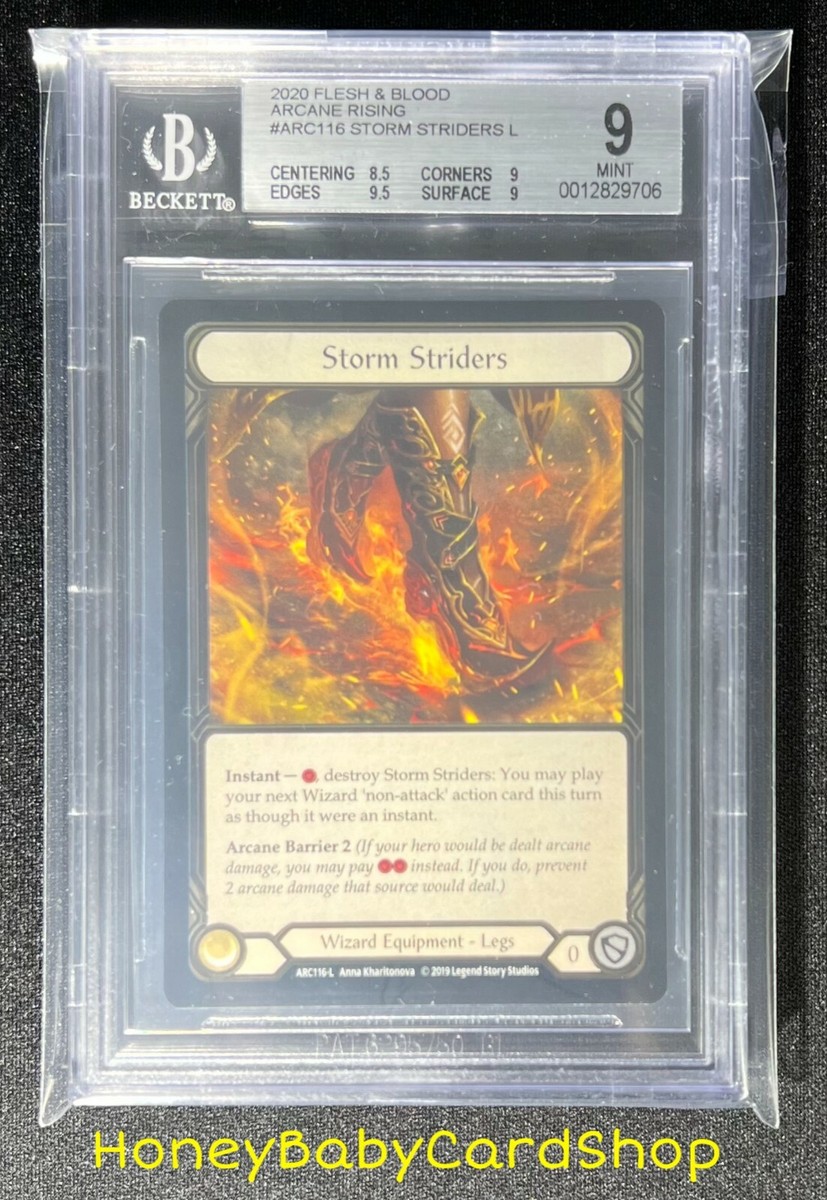 【EN】[Wizard] Storm Striders 「L」〔1HP305〕 EN】[Wizard] Storm Striders 「L」〔1HP305〕 Storm Striders