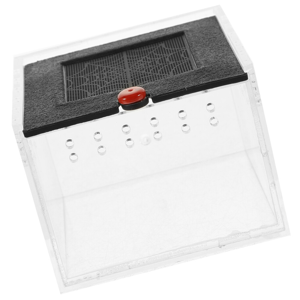 Acrilico 通风玻璃容器，仿石头款，跳蛛围栏，亚克力面板 Terrario Verticale Per Rettili