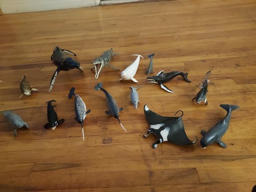 Safari Ltd Sea Animals