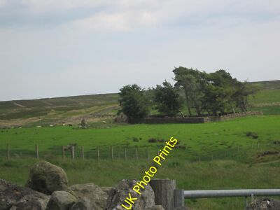 Foto 6x4 kleines Gehege mit zerstörtem Gebäude und kleinem Copse Sinderhope c2015