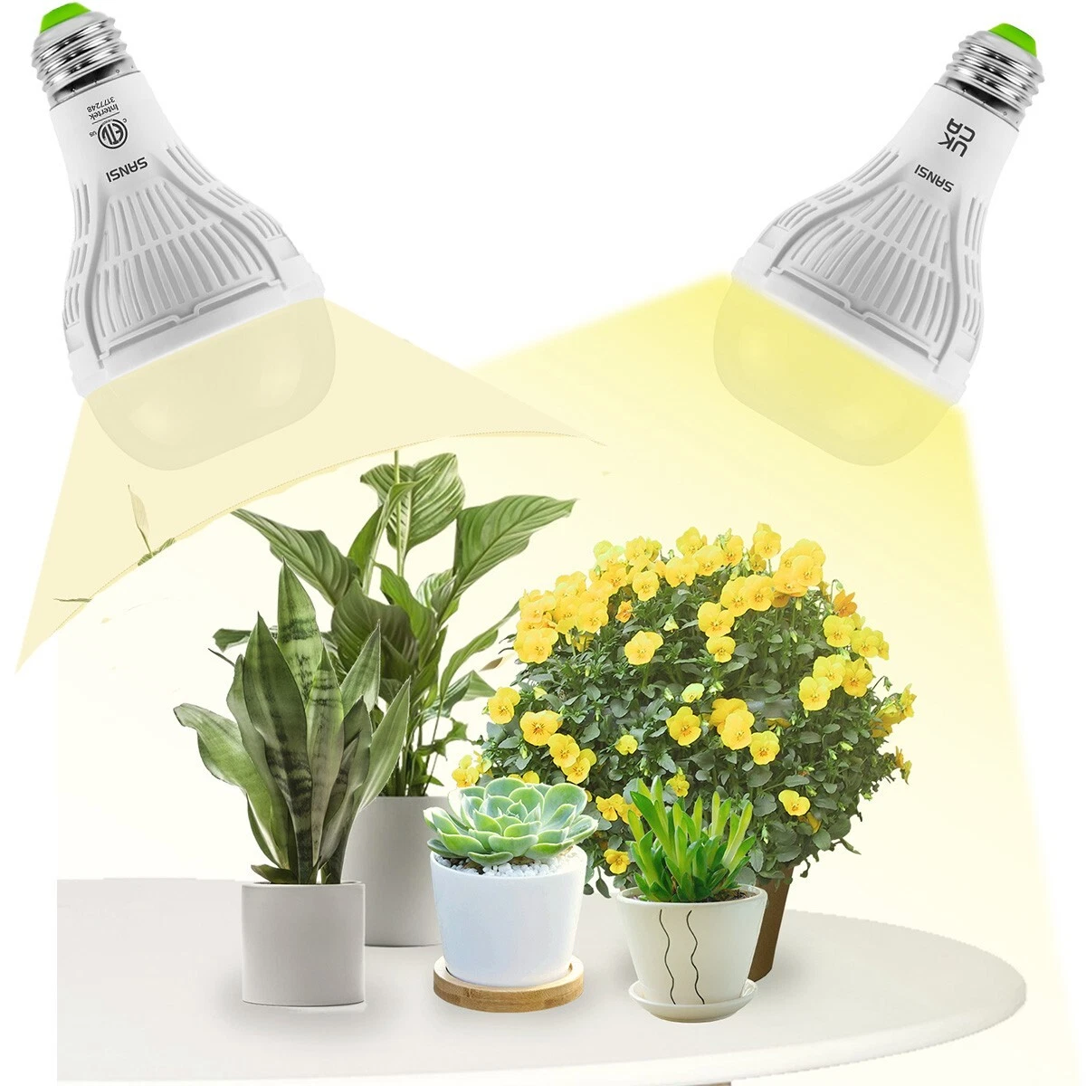 Best e26 grow sale light