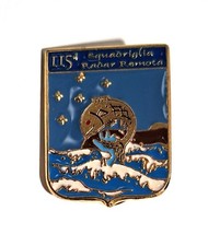 Distintivo 115^ Squadriglia Radar Remota (Aeronautica Militare)