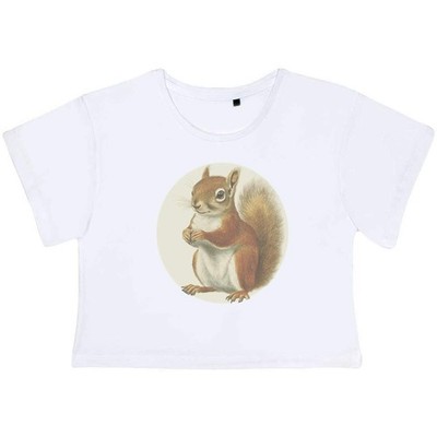 'Red Squirrel Side View' Women's Cotton Crop Tops (CO049884)