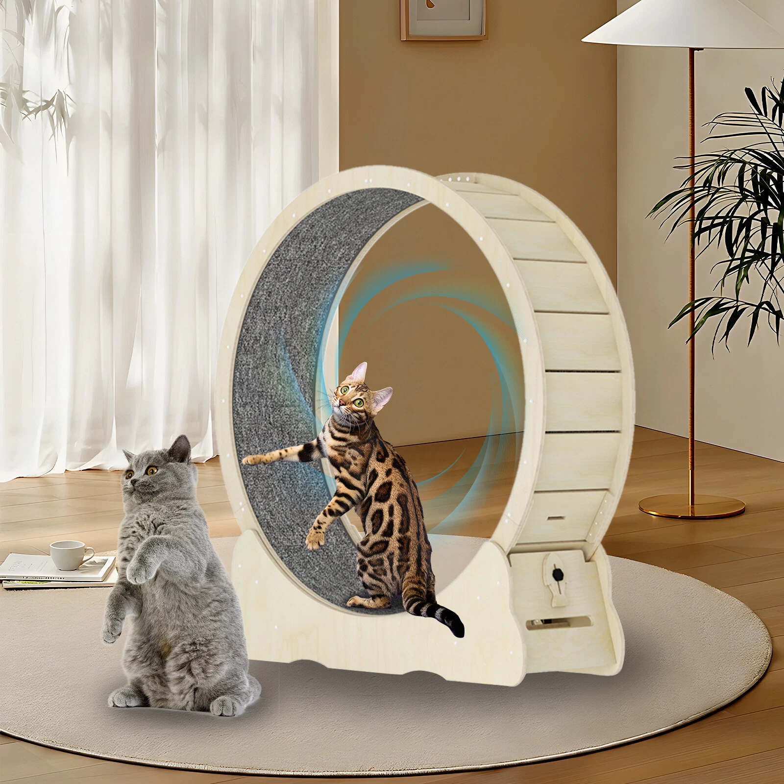 For Indoor Running & Scratching Cat Toys Cat Exercise Wheel w/ Carpeted Runway
Opens in a new window