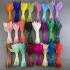 30 Colour Soft Stripped Goose Feathers Decoration 12-18 CM for DIY Crafts Plumes