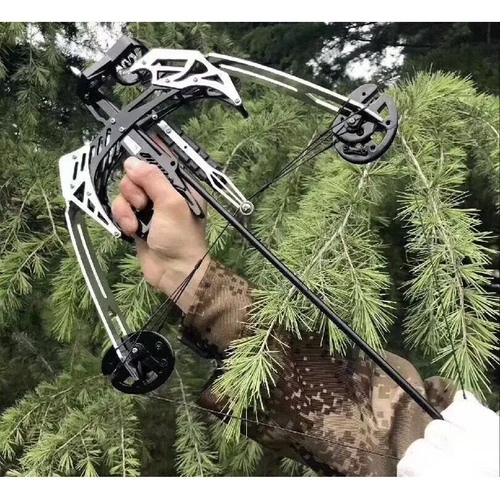 Archery Hunting 25lbs MINI Triangle Fishing Compound Bow Kit Arrows Right Hand - Picture 12 of 15