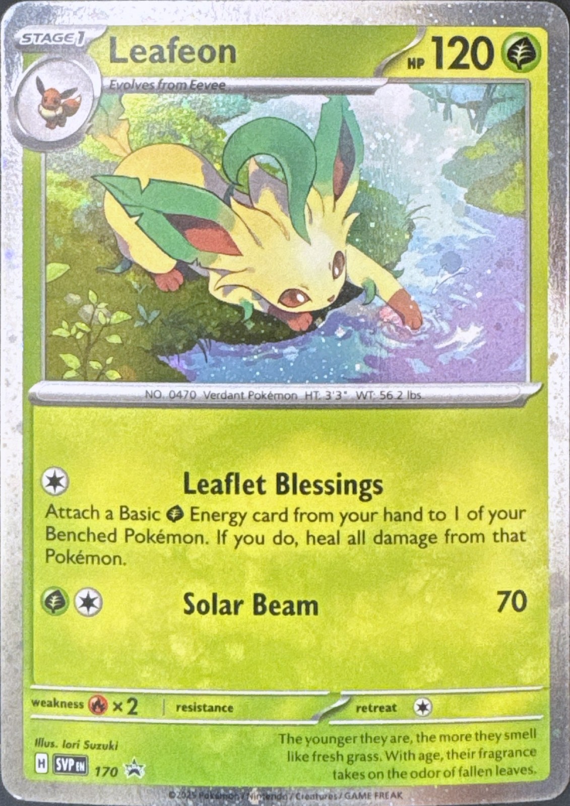 [B4G1] Pokemon Leafeon 170 - Scarlet & Violet Promos