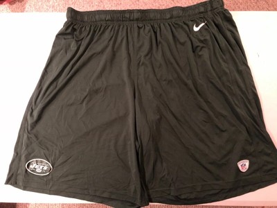 nike dri fit shorts 4xl