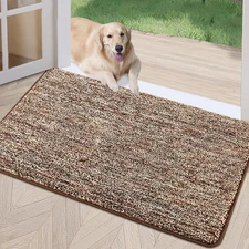 REFETONE Indoor Doormat, Front Door Mat 20"x32" Absorbent Rubber Backing Non Sli