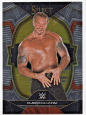 DIAMOND DALLAS PAGE 2023 Panini Select WWE Hobby Base #9 Wrestling Trading Card