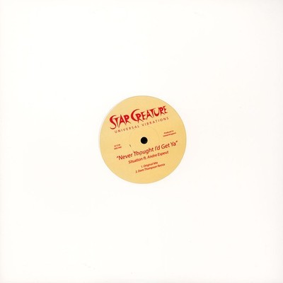 Situation - Never Thought I'd Get You (Vinyl 12'' - 2019 - US - Original)