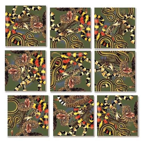 B Ослепительные змеи Северной Америки Скремблируют квадраты пазла из 9 частей 3390₽