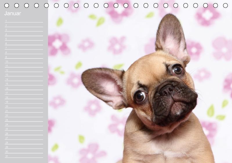 Thumbnail - Der Bully-geburtstagskalender - Nie Wieder Einen Geburtstag