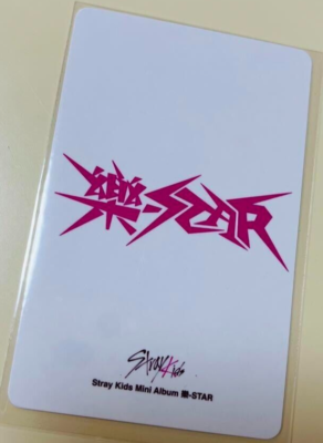 Stray Kids Changbin 樂 STAR ROCK STAR KMS KMSTATION SKZOO Official