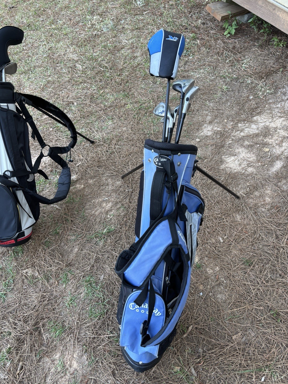 Clubs Set Right Handed With Bag Stand.