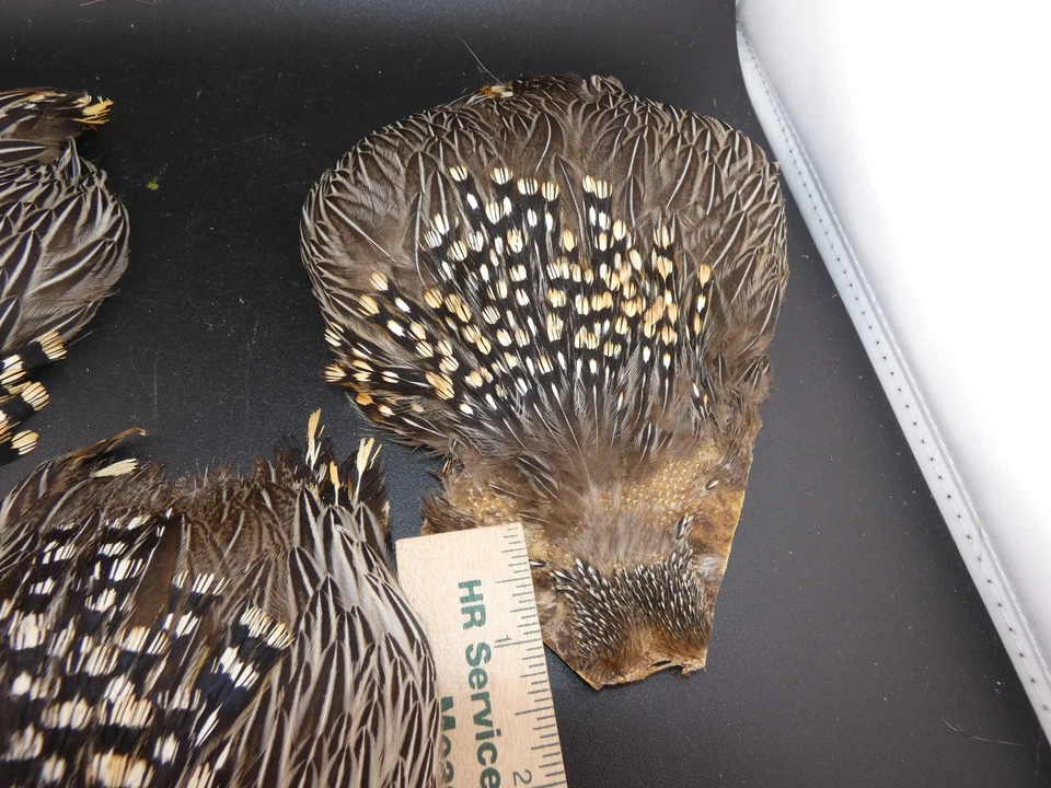 Capa de gallo jungle 3 piezas material para atar moscas plumas Foto 4 de 4