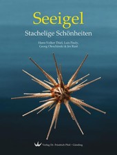 Seeigel - Stachelige Schönheiten | deutsch