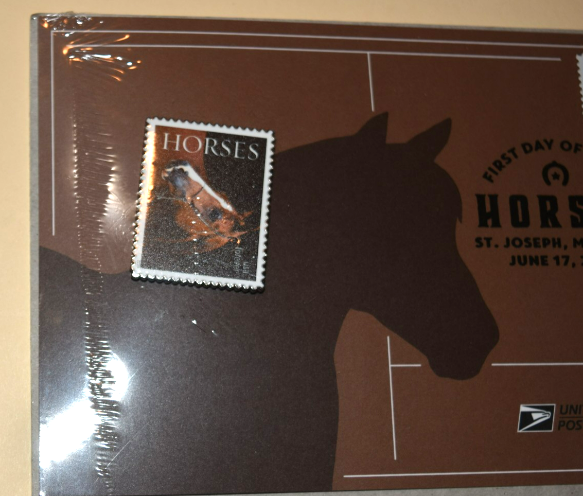 Foto 2 di 4