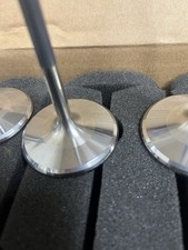 7 Mm Exeldyne Titanium Intake Valves.
