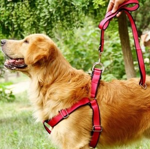 high quality dog leash