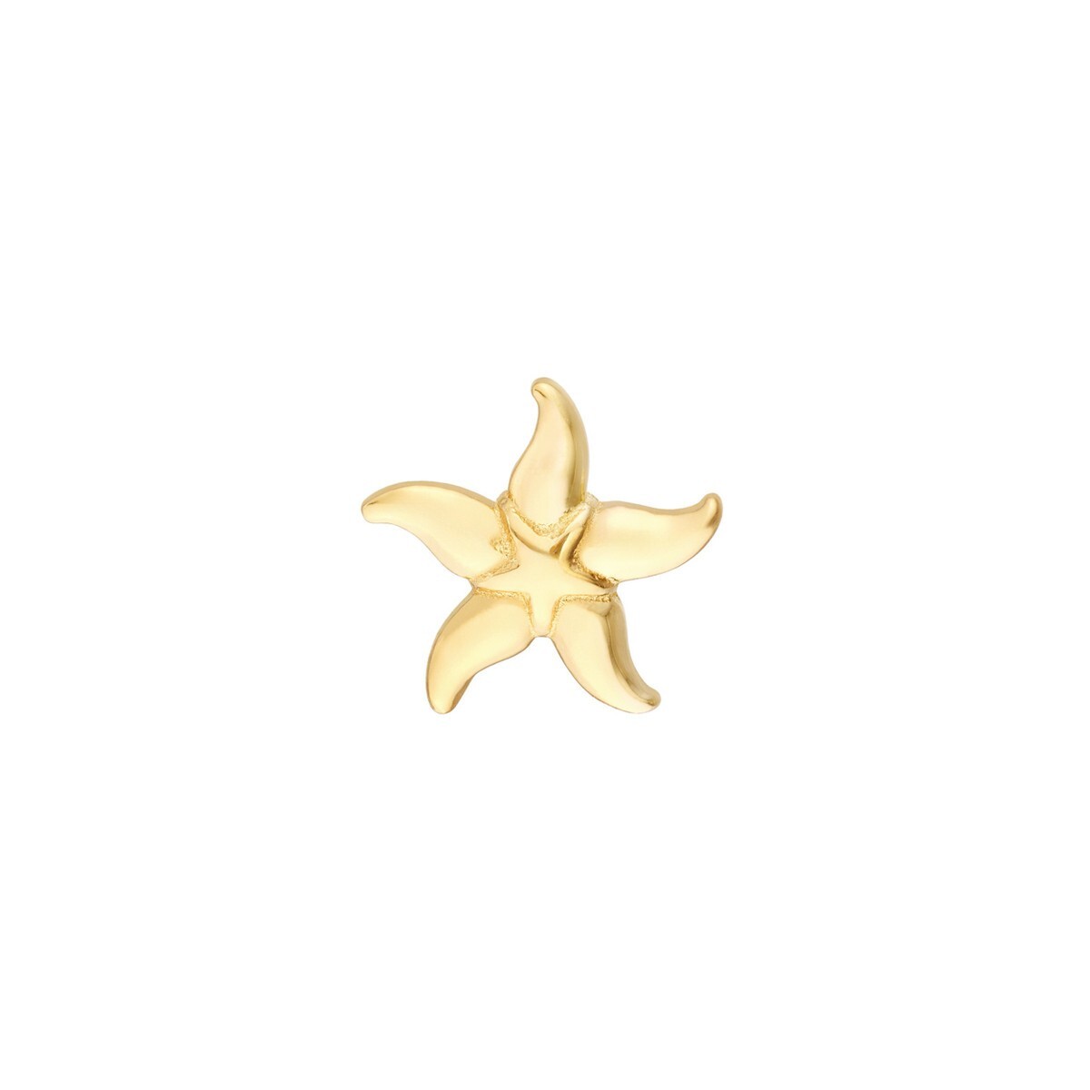 14K Solid Gold Starfish Stud Earrings Small Dainty Beach Nautical Jewelry Women View 3