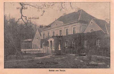 Ansicht von Barzin - 1915 - Historische Aufnahme ~18x12cm