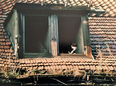 3 Originalfotos Rostocker Altstadt u. ihr Charme 1989/90, Angelika Heim, selten 