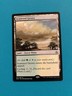 Scattered Groves R Amonkhet 247 NM