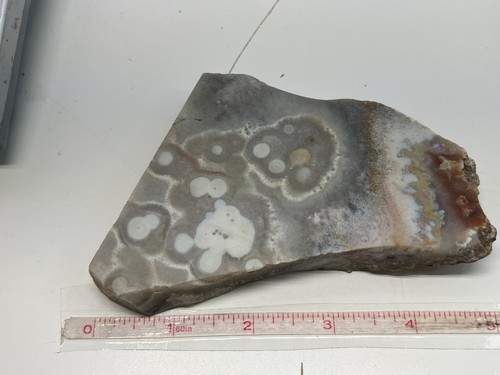 Mystery Lapidary Slab For Cabbing Or Displaying. - Bild 9 von 11