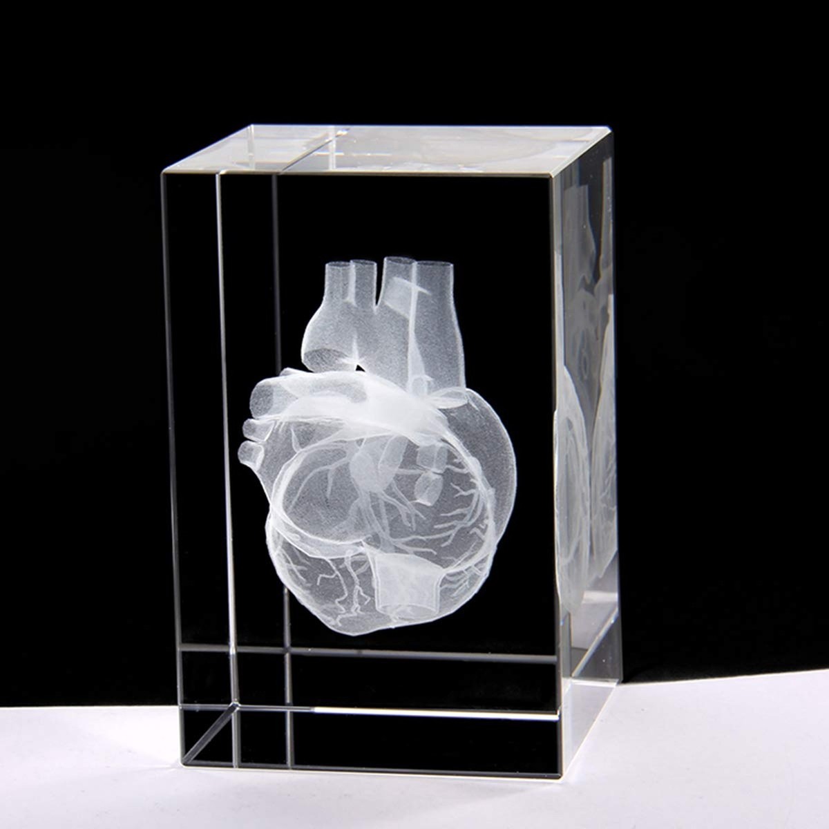 3D Human Heart Anatomical Model Paperweight(Laser Etched) in