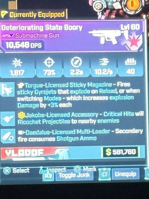 Borderlands 4 LVL 60 GOD ROLL BOORY ALL PLATFORMS 