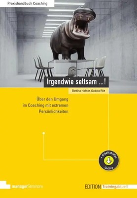 Irgendwie seltsam ...! | Bettina Hafner (u. a.) | Taschenbuch | 304 S. | Deutsch