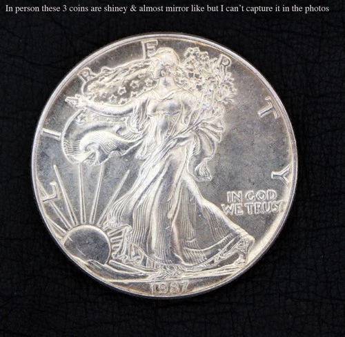1987 SILVER Walking LIBERTY 1oz Fine Silver,  One Dollar Coin Uncirculated