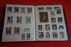 Foto 16 di 20