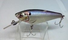 Rainbow Trout Bagley Vintage Fishing Lures for sale | eBay Rainbow Trout Bagley Vintage Fishing Lures for sale | eBay