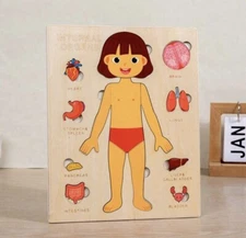 Kids Human Body Puzzle Montessori Toy Wooden Anatomy Early Learning Toddler Toy