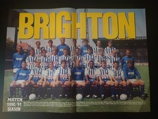 Brighton & Hove Albion Football Club Team Poster. Season 1990/1991 ⚽