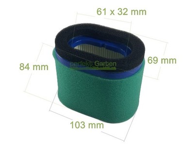 Luftfilter für Briggs & Stratton B&S Motor 123607 4224 4201 EuroGarden 4