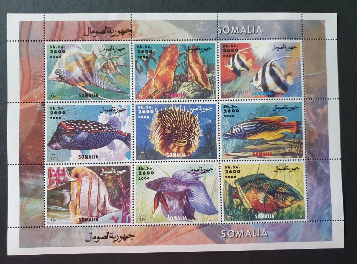 Foto 1 di 1