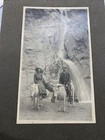 Old 4-1/2 x 7-1/2 photo Seven Falls Colorado Springs Colorado with elk — photo 1