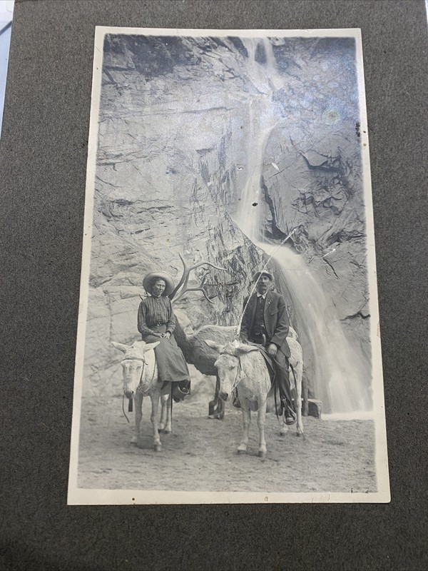 Old 4-1/2 x 7-1/2 photo Seven Falls Colorado Springs Colorado with elk