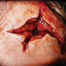 3D FX Transfers Wounds- Point Blank